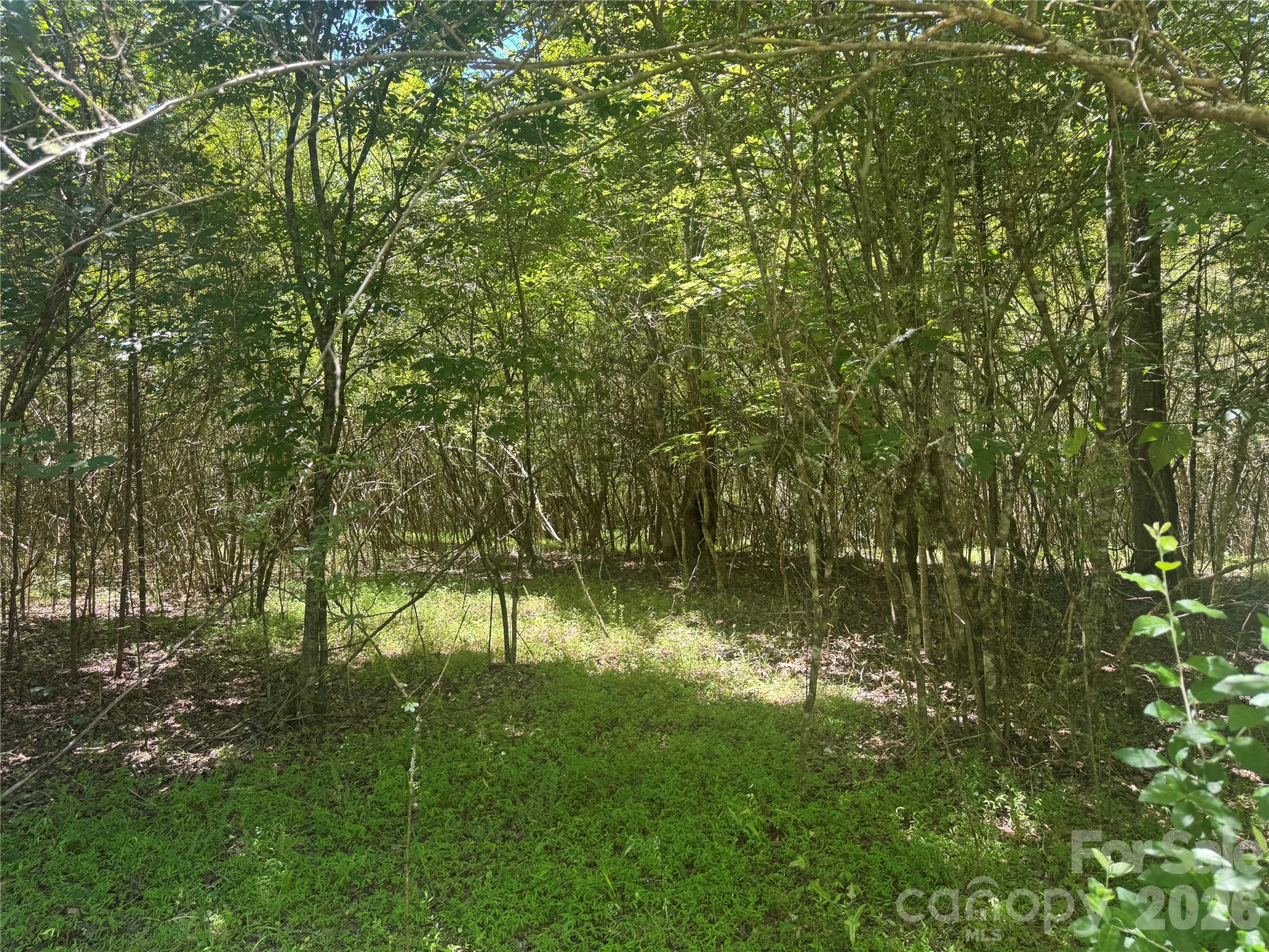 0 Desota Ridge, Unit 362 Rutherfordton, NC 28139 - Photo 7 of 10