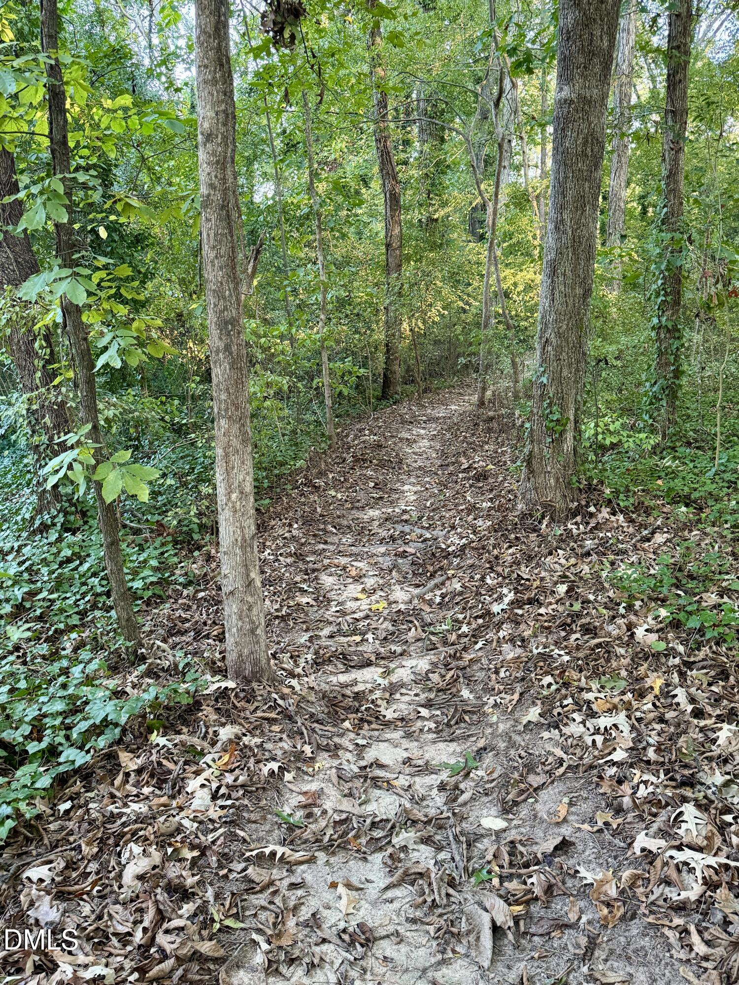 5817 Newhall Road Durham, NC 27713 - Photo 47 of 51 Parkwood Trail