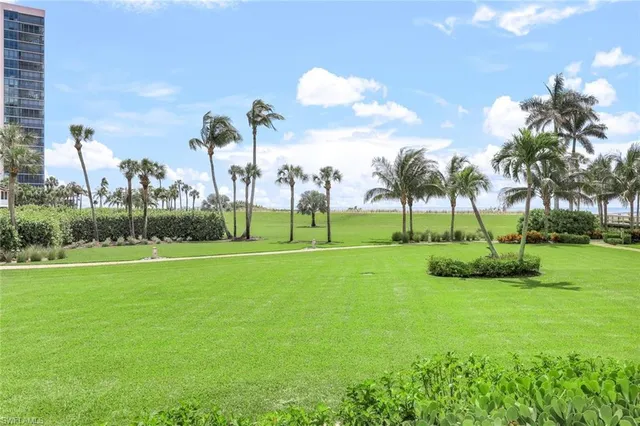 a view of a park with palm trees