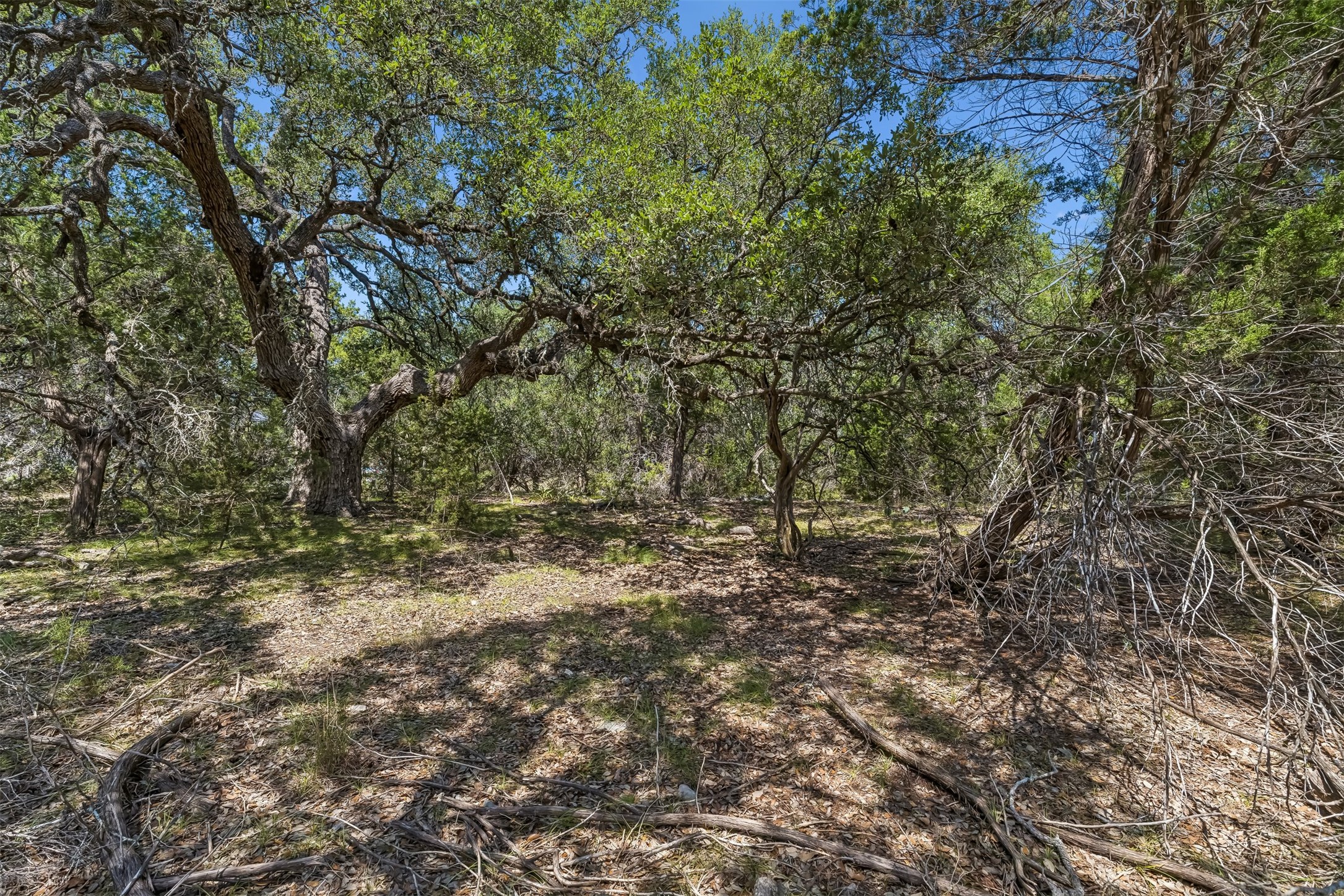 854 Maximino Ridge Road Bulverde, TX 78163 - Photo 11 of 32 Gallery Image 11