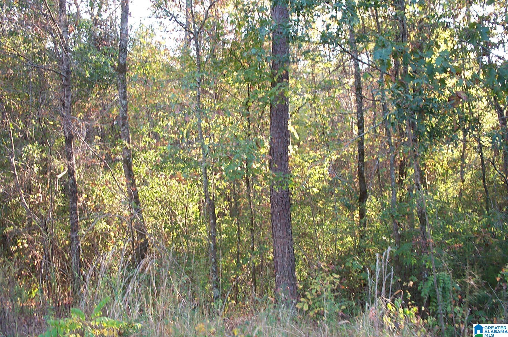 850 Sardis Road, Unit 1 Ashland, AL 36251 - Photo 3 of 10