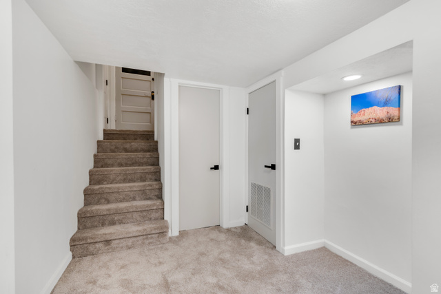 4883 South Center Street Murray, UT 84107 - Photo 27 of 32 Carpeted stairs leading to an upper level, with two interior doors featuring matte black hardware