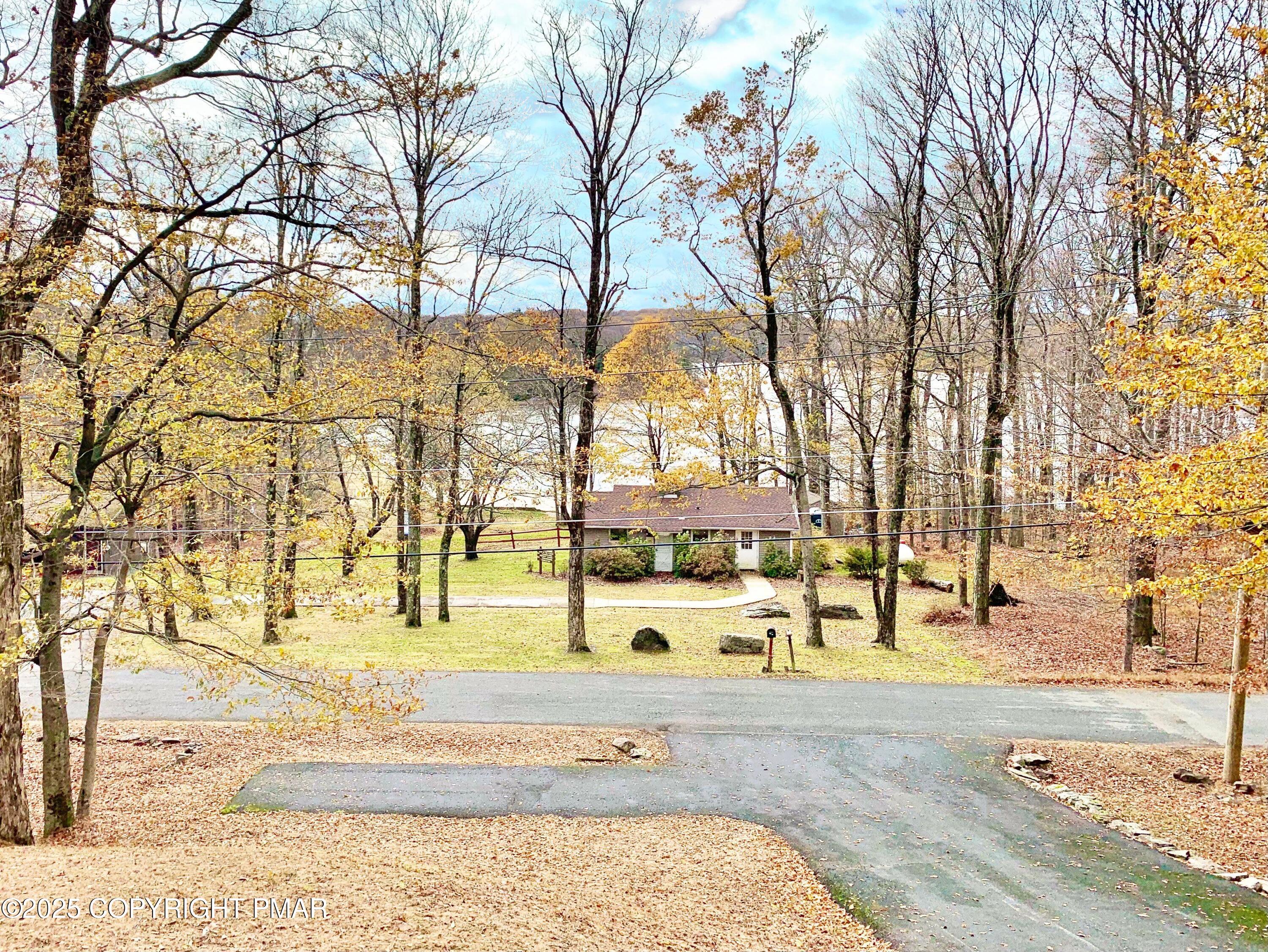 111 Lake In The Clouds Road Canadensis, PA 18325 - Photo 4 of 39 a view of yard with utility and trees