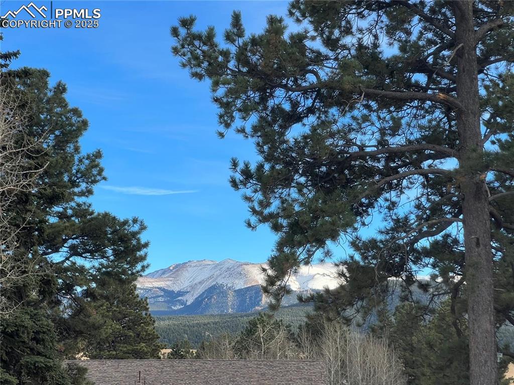 106 Stephanie Place Divide, CO 80814 - Photo 8 of 12 a picture of tree