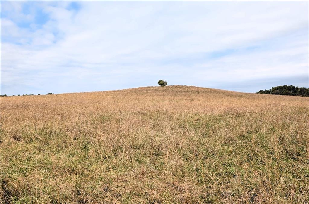 2175 Louisiana Road Ottawa, KS 66067 - Photo 19 of 30