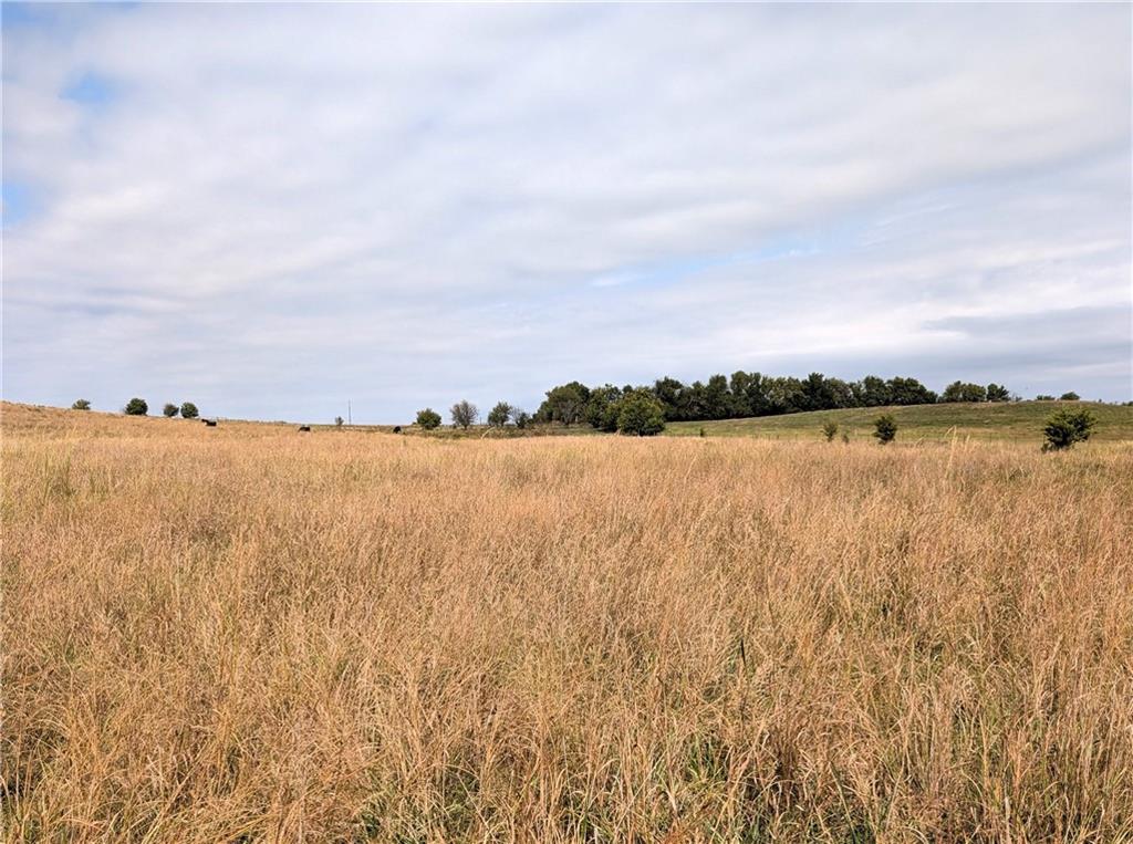 2175 Louisiana Road Ottawa, KS 66067 - Photo 20 of 30
