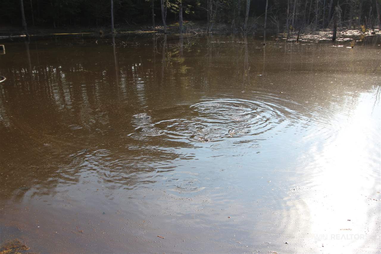 794 Dry Lake Road Luverne, AL 36049 - Photo 7 of 48 Fish Feeding