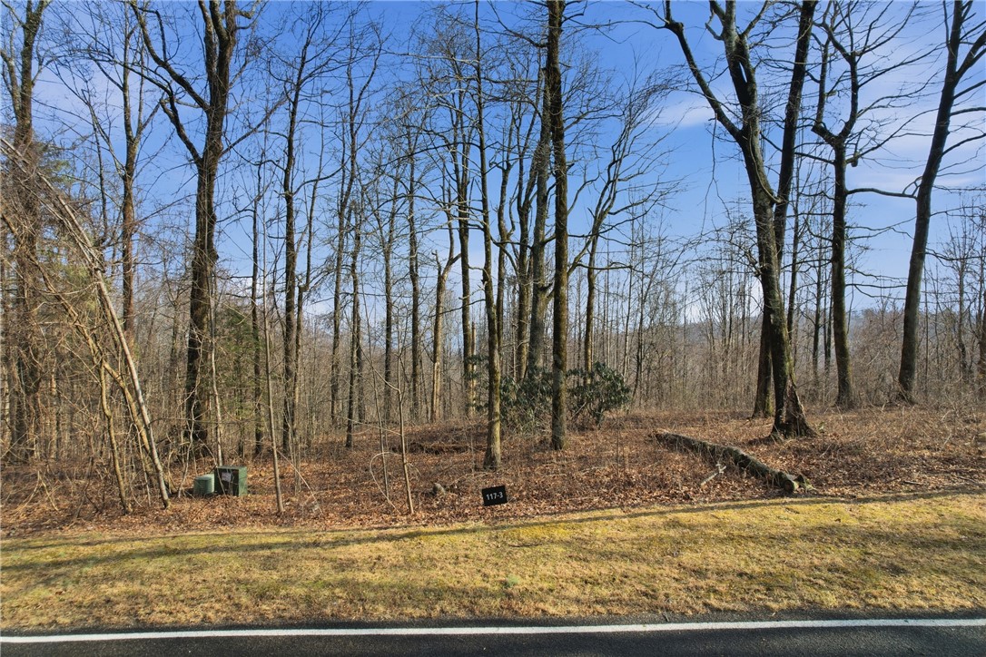 116 Witch Hazel Trail Landrum, SC 29356 - Photo 1 of 26 This expansive lot presents a verdant canvas for creating a private retreat amidst natural splendor.