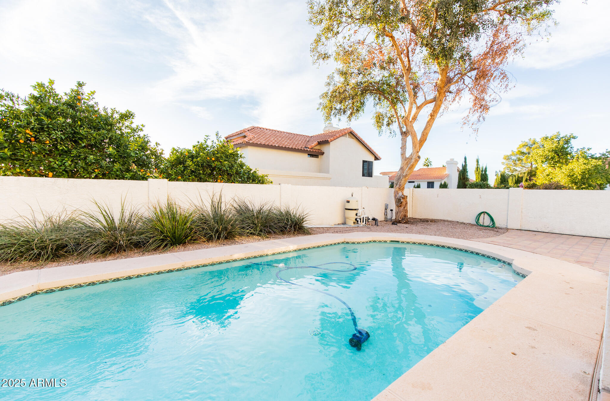 6121 East Saddleback Street Mesa, AZ 85215 - Photo 35 of 36 a view of a swimming pool with a yard