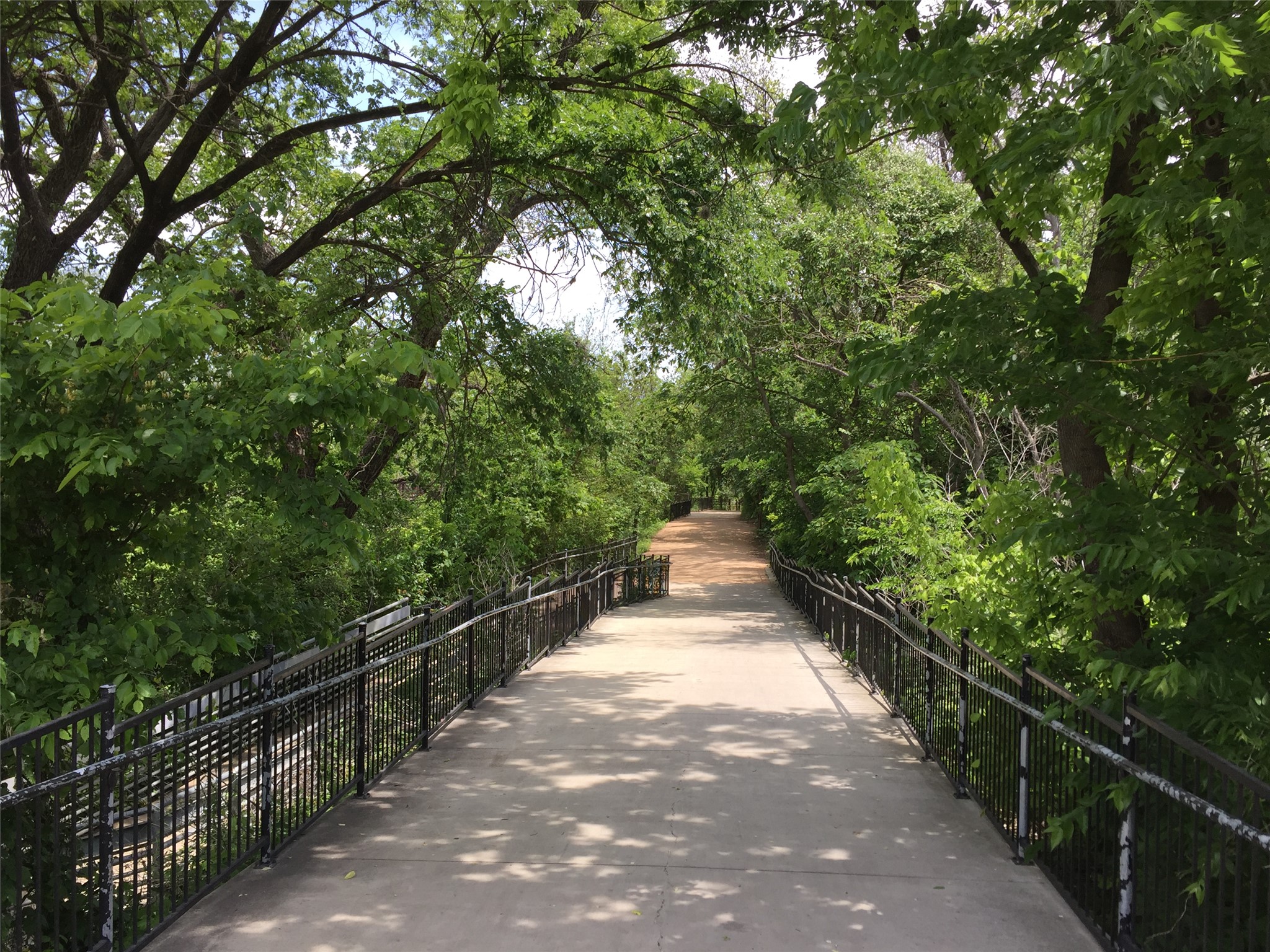 1900 Barton Springs Road, Unit 3003 Austin, TX 78704 - Photo 18 of 19 Park trail just outside lobby doors.