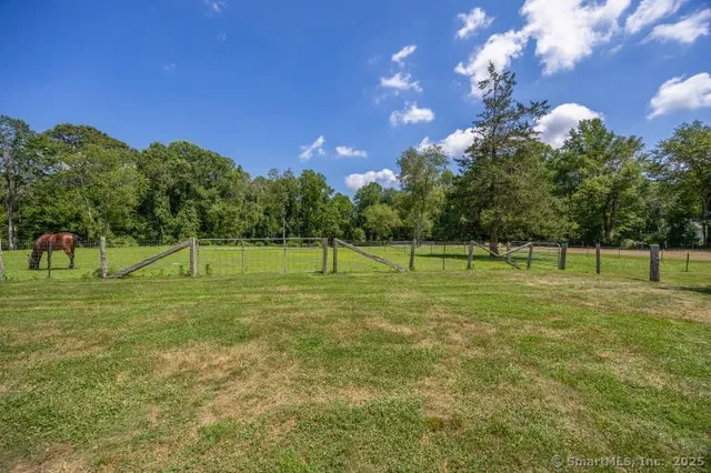 a view of a park with large trees