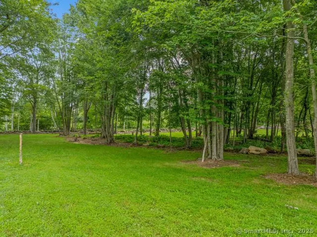 a green field with trees in the background