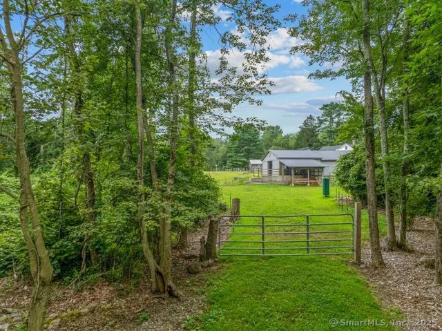 a view of a garden with plants