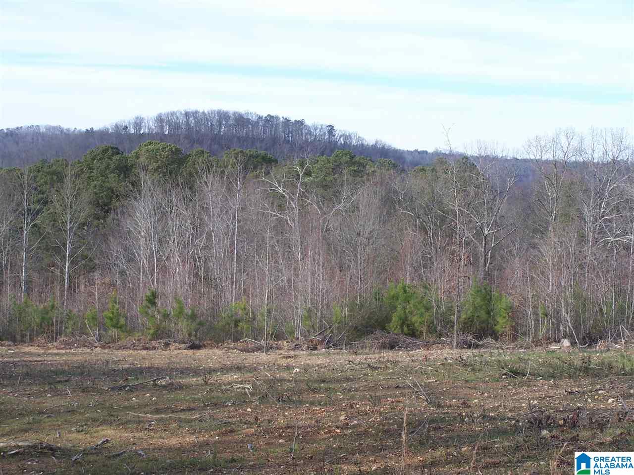 Alabama Avenue, Unit 4 Oneonta, AL 35121 - Photo 10 of 10