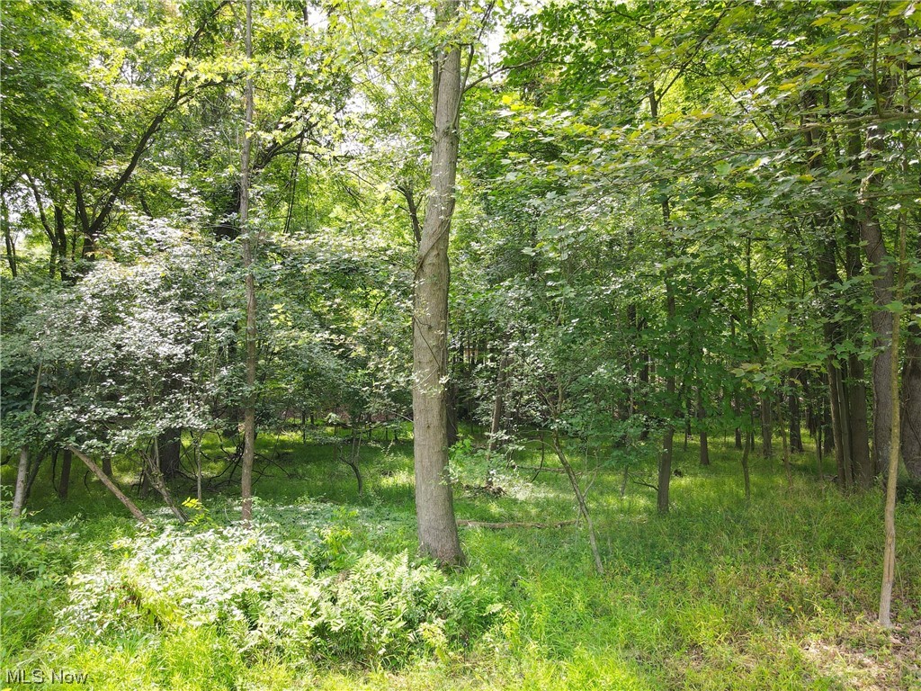 18816 Alexander Road Walton Hills, OH 44146 - Photo 30 of 33