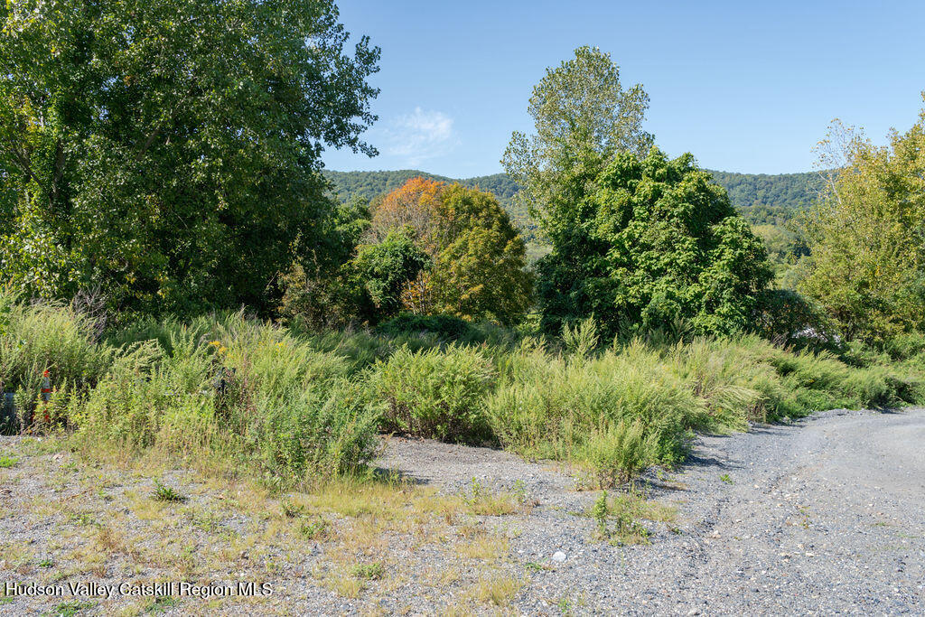 22 Old State Route Amenia, NY 12501 - Photo 2 of 12 a view of a yard