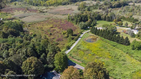 a view of a tree in a yard