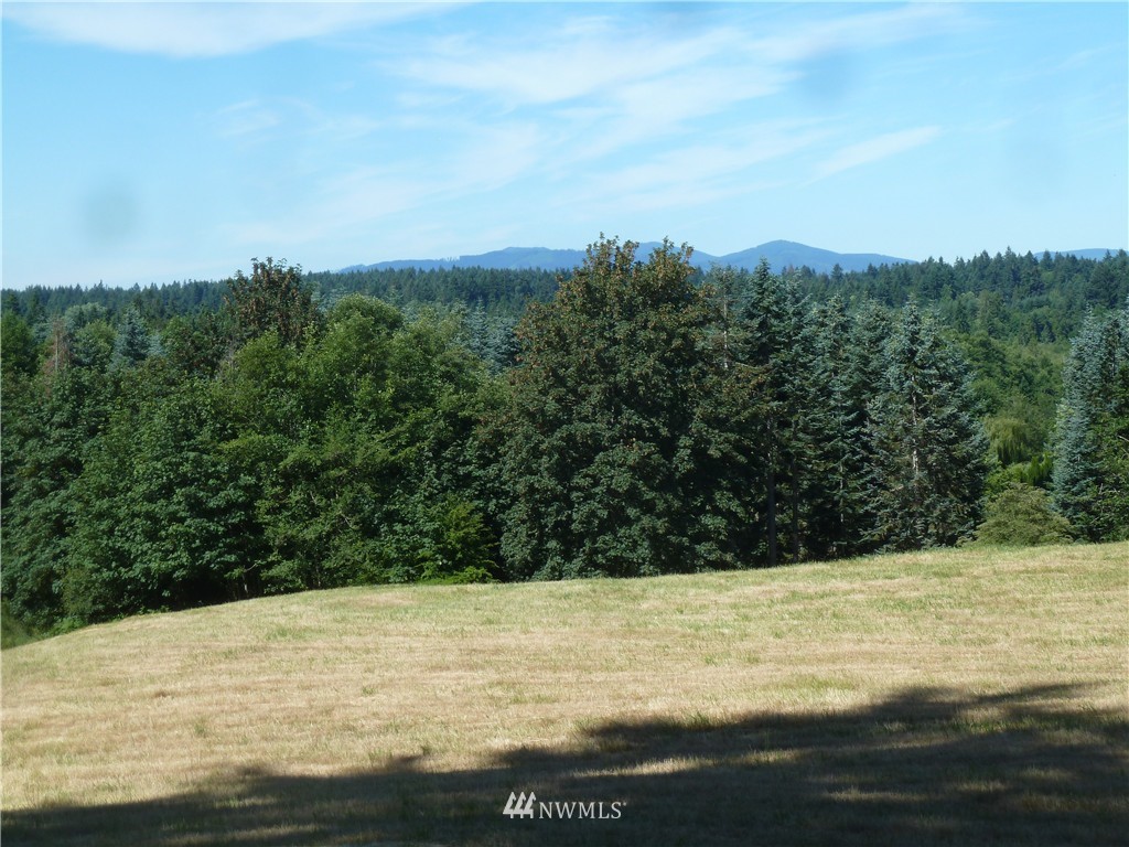 5511 Hawks Prairie Road Northeast Olympia, WA 98516 - Photo 1 of 2 Gallery Image 1