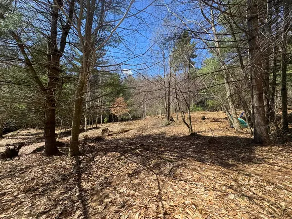 $145,000 | 4-5 Haley Drive, Unit LOT 4 & LOT 5, Hyde Park, VT 05655