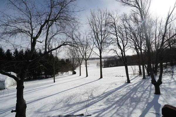 $299,900 | 551 South Mapes Drive, Stockton, IL 61085