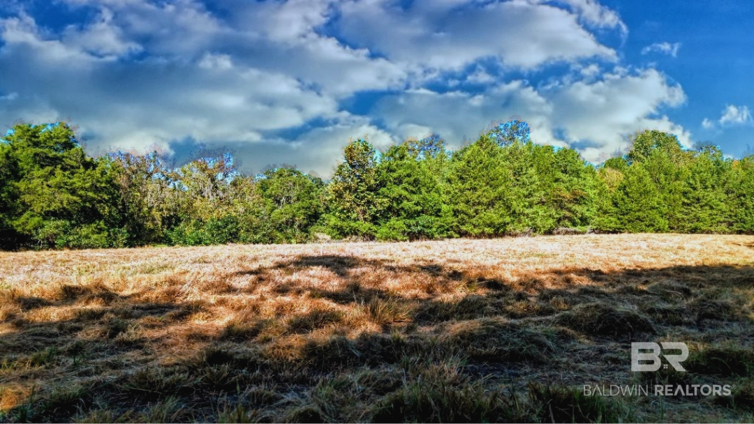 0 Highway 17 Millry, AL 36558 - Photo 63 of 73 Gallery Image 63