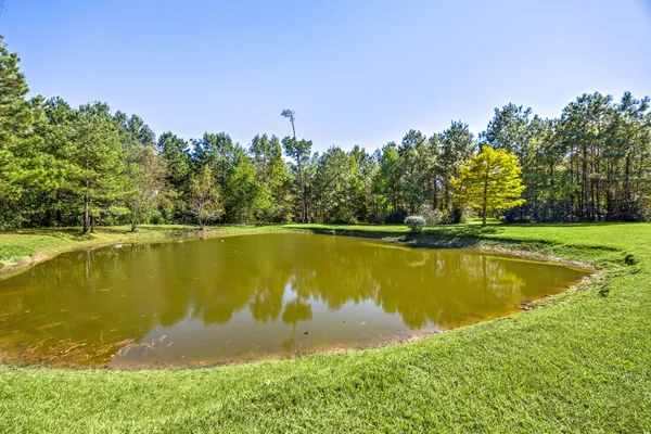 a view of a house with backyard and trees
