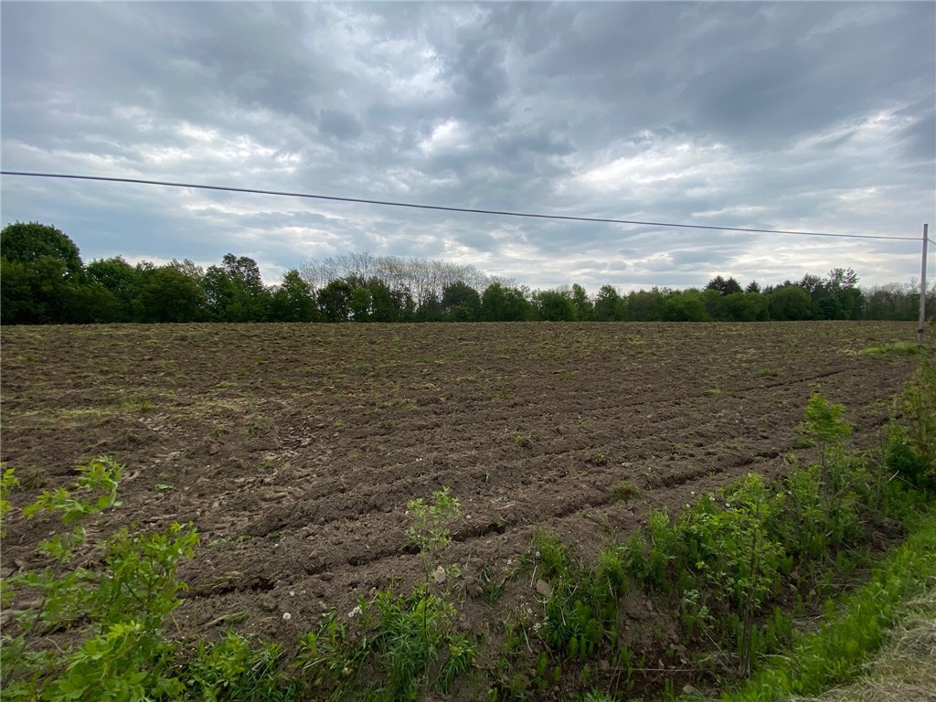 2875 Sandhill Road Arcadia, NY 14513 - Photo 1 of 1 Gallery Image 1