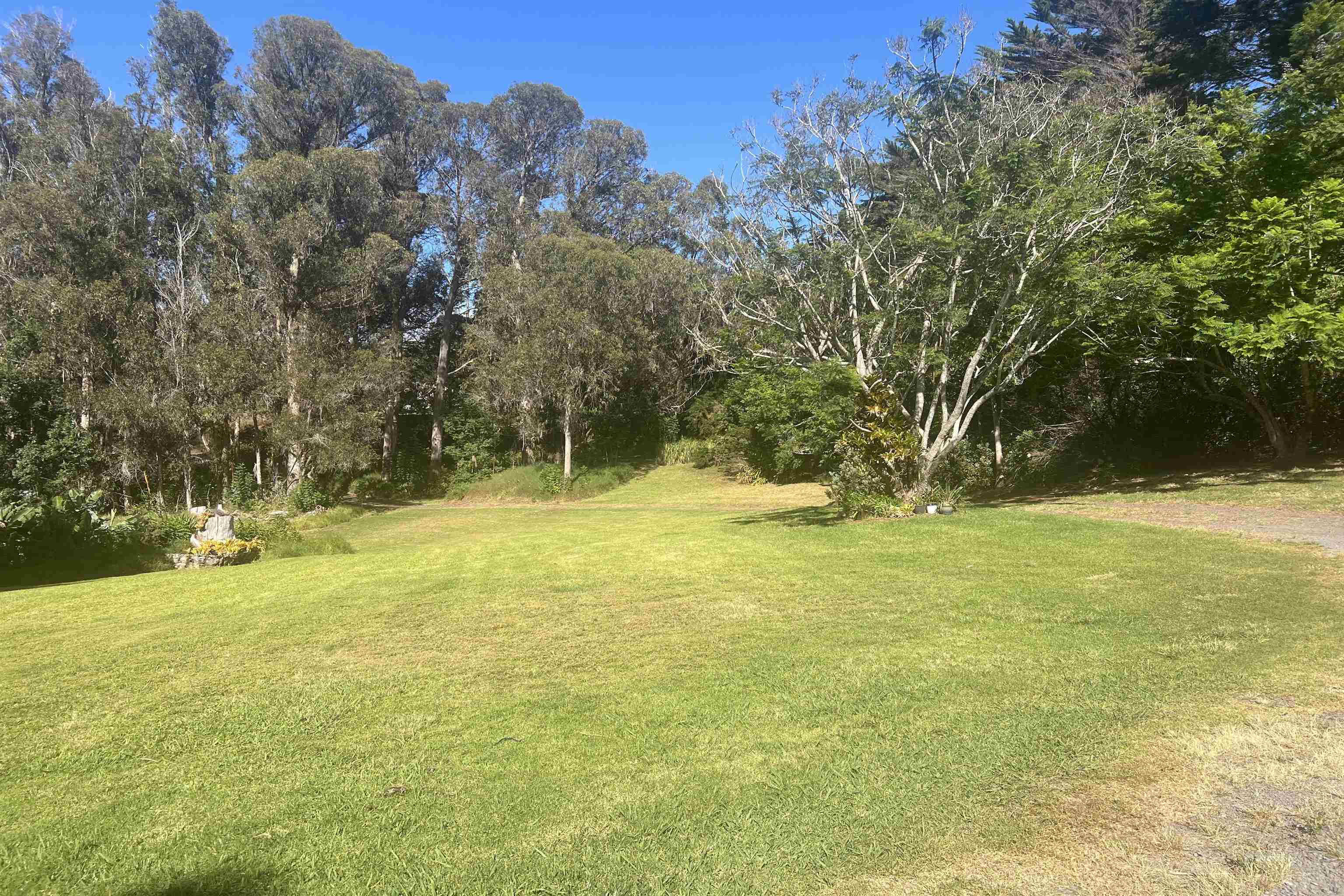 1160 Ehu Road Makawao, HI 96768 - Photo 15 of 18 a swimming pool view