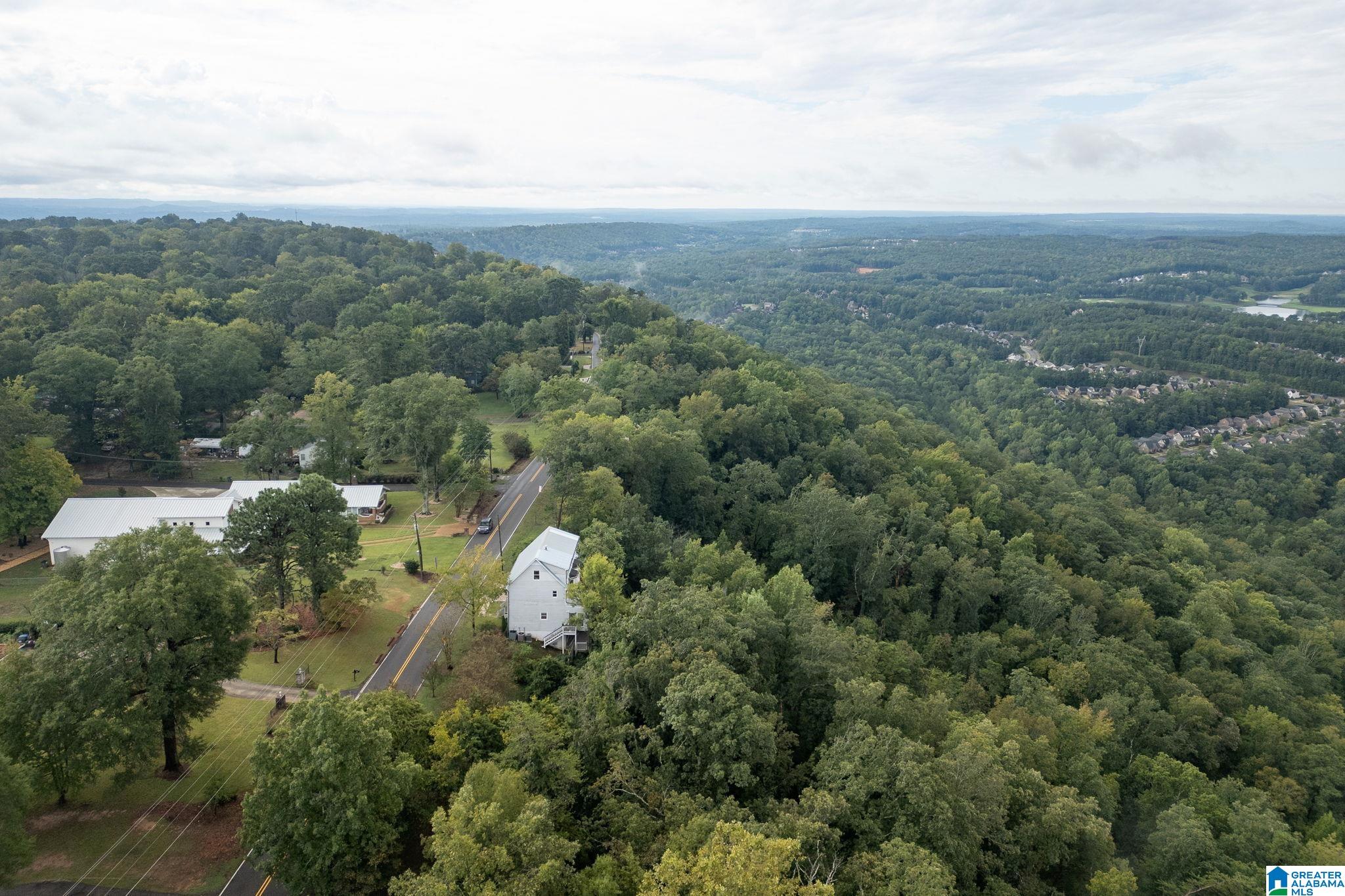 468 Shades Crest Road Bessemer, AL 35022 - Photo 62 of 64