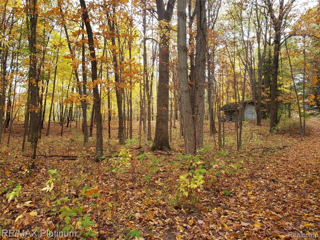 2 Wiggins Road Howell, MI 48855 - Photo 10 of 21