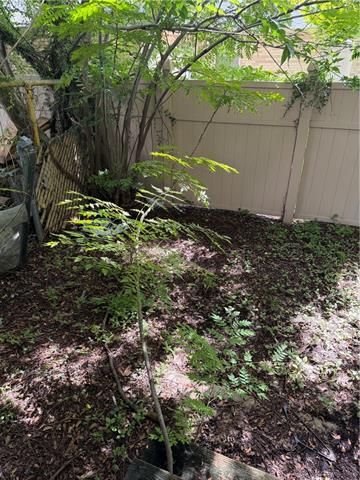 819 Governor Hall Street Gretna, LA 70053 - Photo 21 of 23