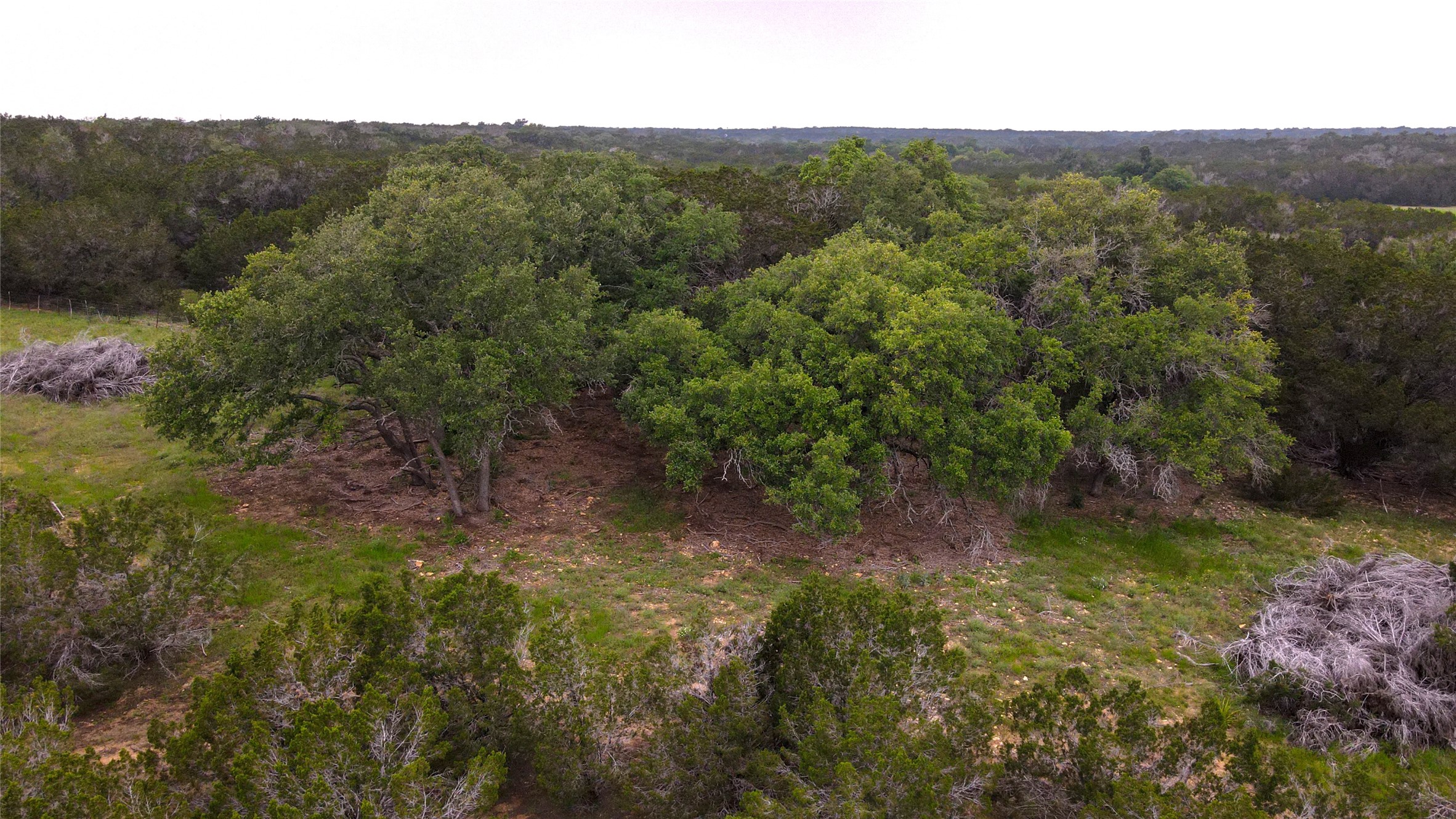 180 Robison Road Bertram, TX 78605 - Photo 12 of 12 Bird's eye view of a heavily wooded area