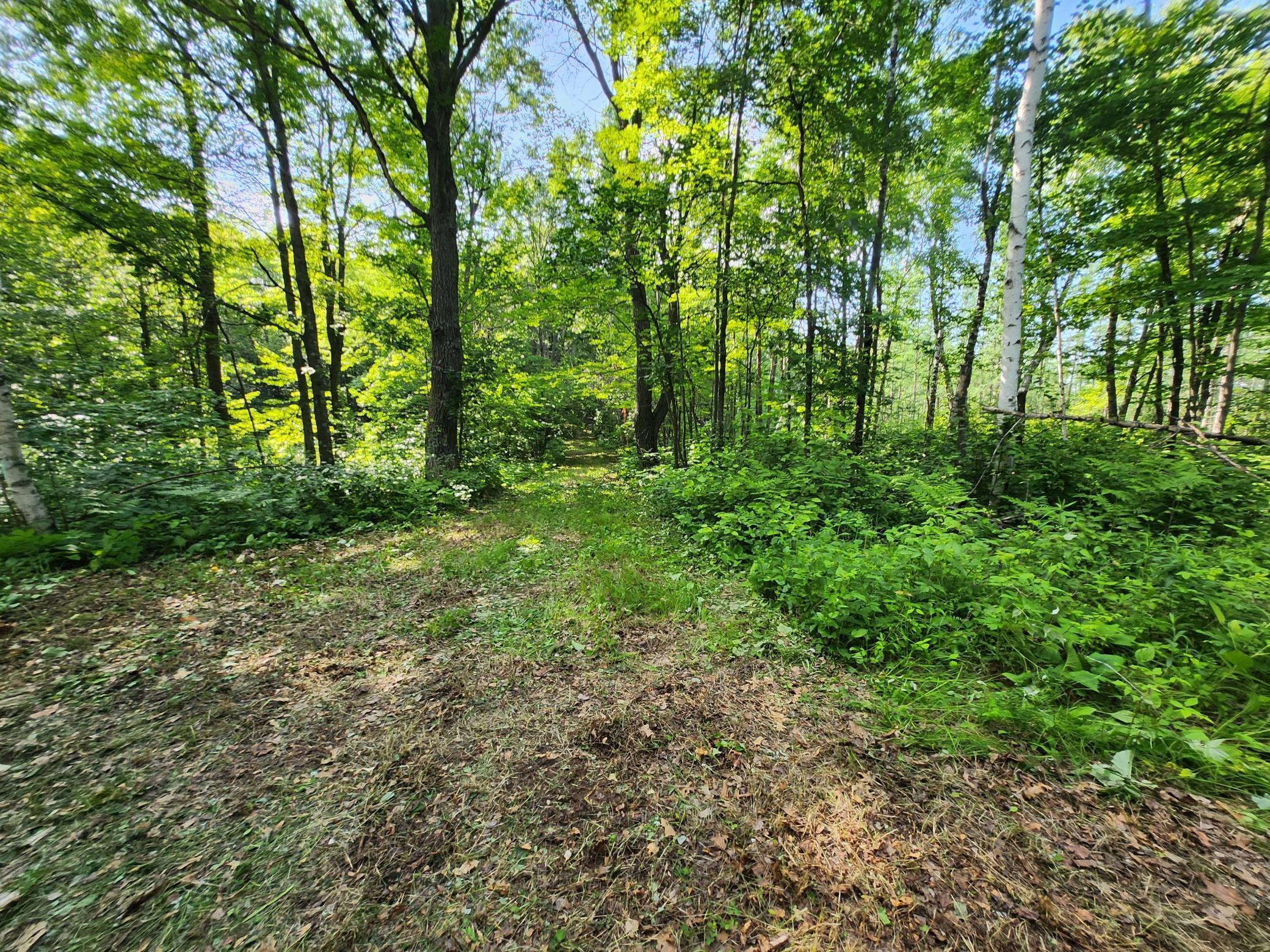 Tbd Tbd Nokay Hall Road Brainerd, MN 56401 - Photo 21 of 31