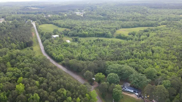 a view of a city with lush green forest