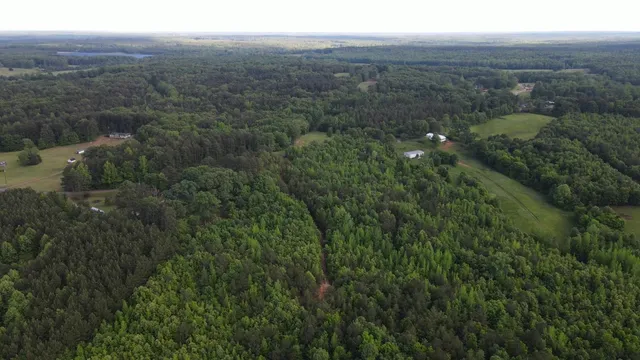 a view of a lush green forest with trees and some houses