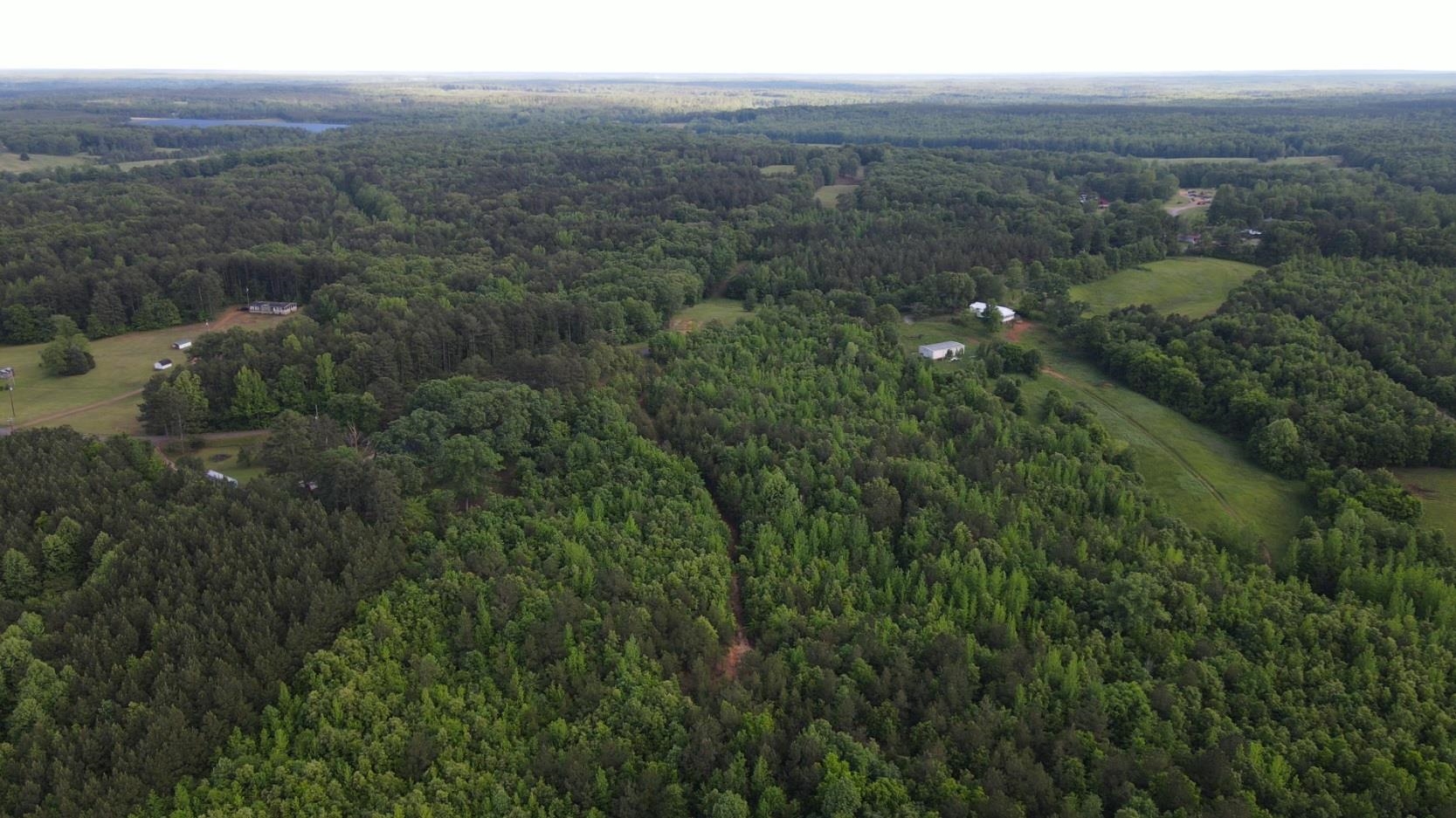 0 Hines Gin Road Selmer, TN 38375 - Photo 13 of 32 a view of a city with lush green forest