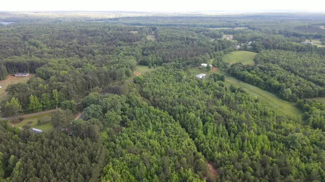a view of city and green space
