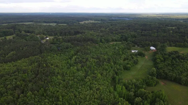a view of a green field with lots of bushes