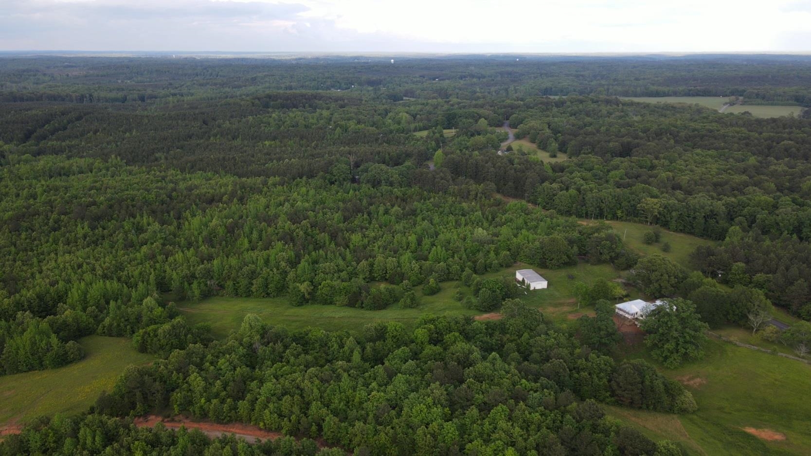 0 Hines Gin Road Selmer, TN 38375 - Photo 16 of 32 a view of a green field with lots of bushes