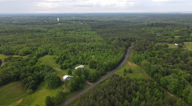 a view of a lush green forest with lots of trees