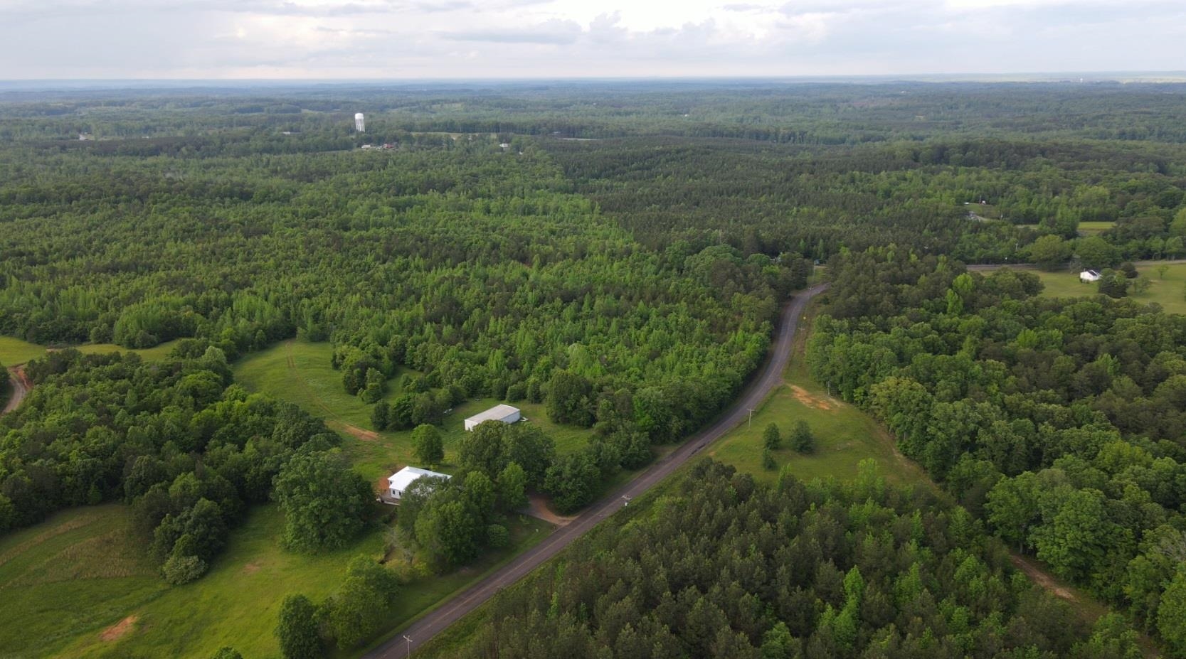 0 Hines Gin Road Selmer, TN 38375 - Photo 17 of 32 a view of a city with lush green forest