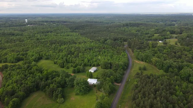 a view of a backyard with plants and mountain view