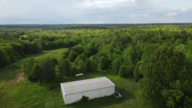 a view of a garden from a balcony