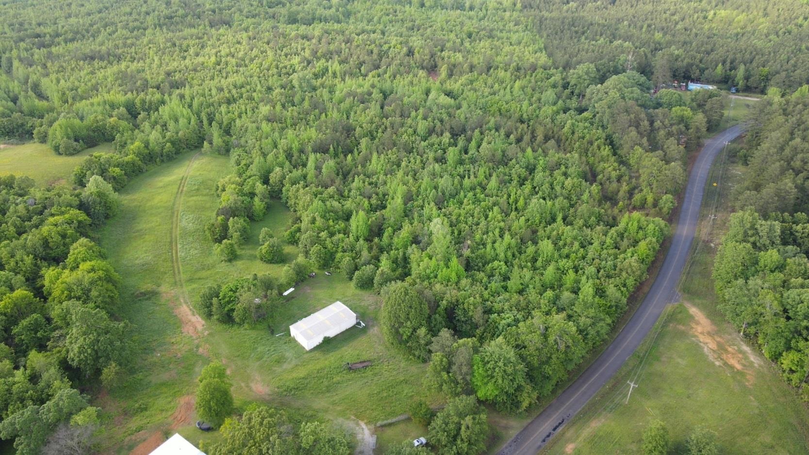 0 Hines Gin Road Selmer, TN 38375 - Photo 21 of 32 a map view of a forest