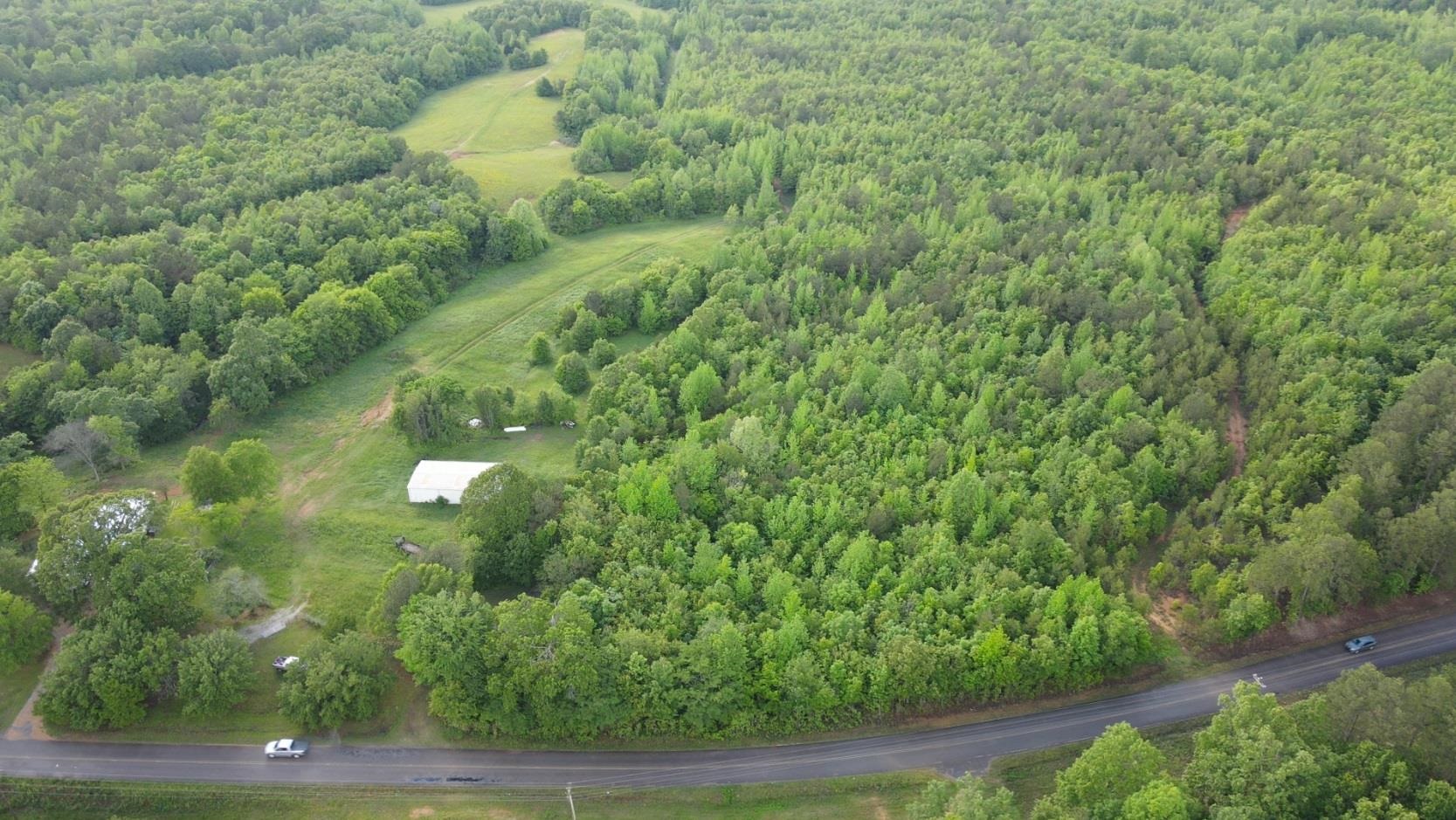 0 Hines Gin Road Selmer, TN 38375 - Photo 3 of 32 a view of a yard