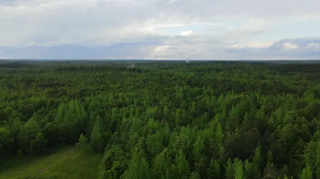 $180,000 | 0 Hines Gin Road, Selmer, TN 38375