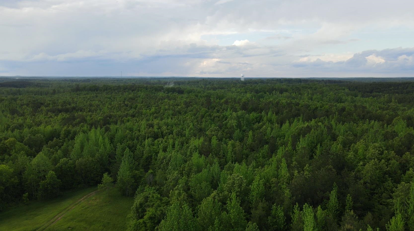 0 Hines Gin Road Selmer, TN 38375 - Photo 31 of 32 a view of a lush green space with sea