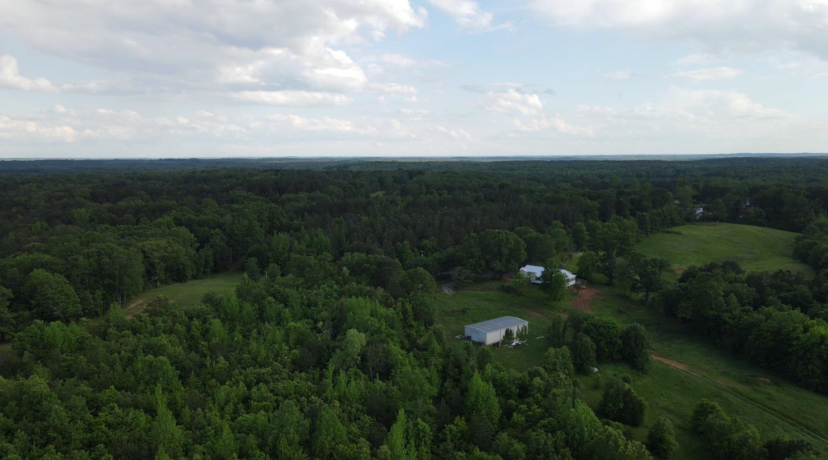 0 Hines Gin Road Selmer, TN 38375 - Photo 32 of 32 a view of a bunch of trees