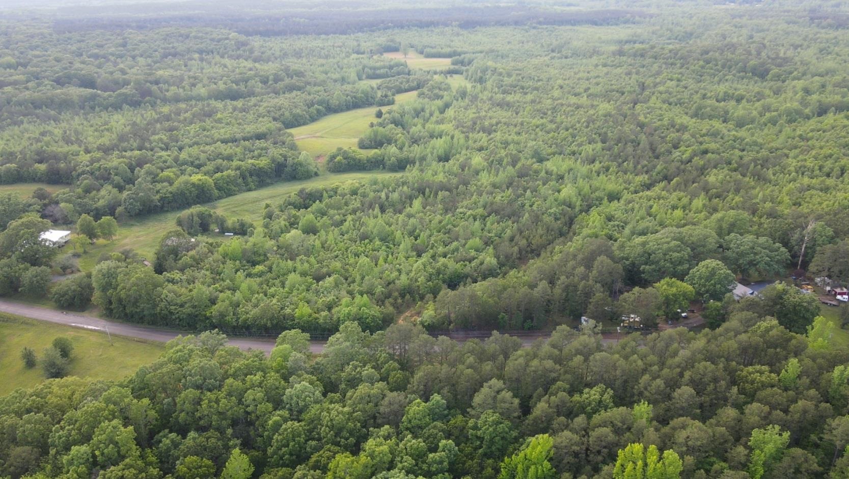 0 Hines Gin Road Selmer, TN 38375 - Photo 4 of 32 a view of a forest with a houses