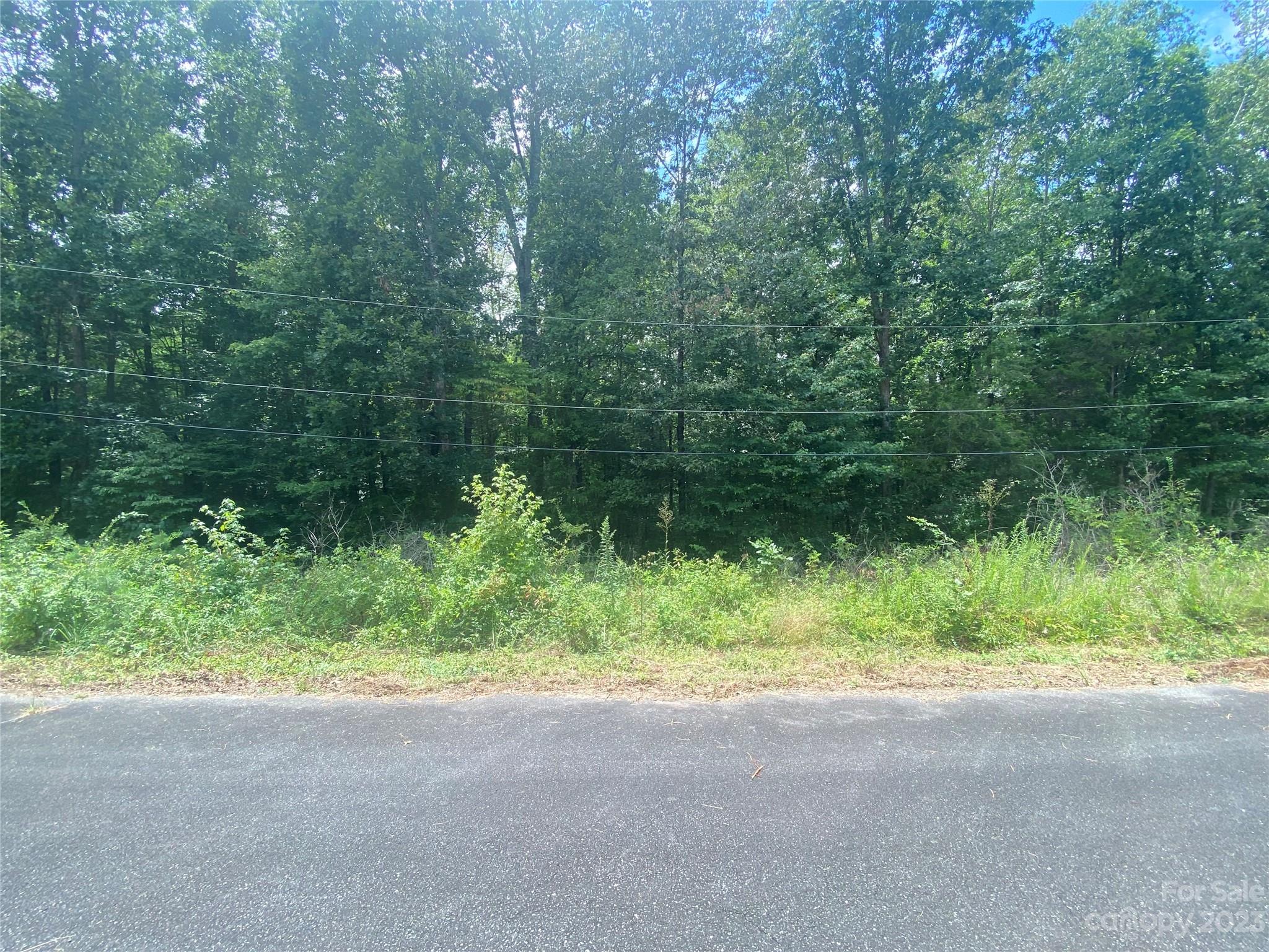Tbd Wilderness Lane, Unit 18 Lancaster, SC 29720 - Photo 2 of 14 a view of backyard